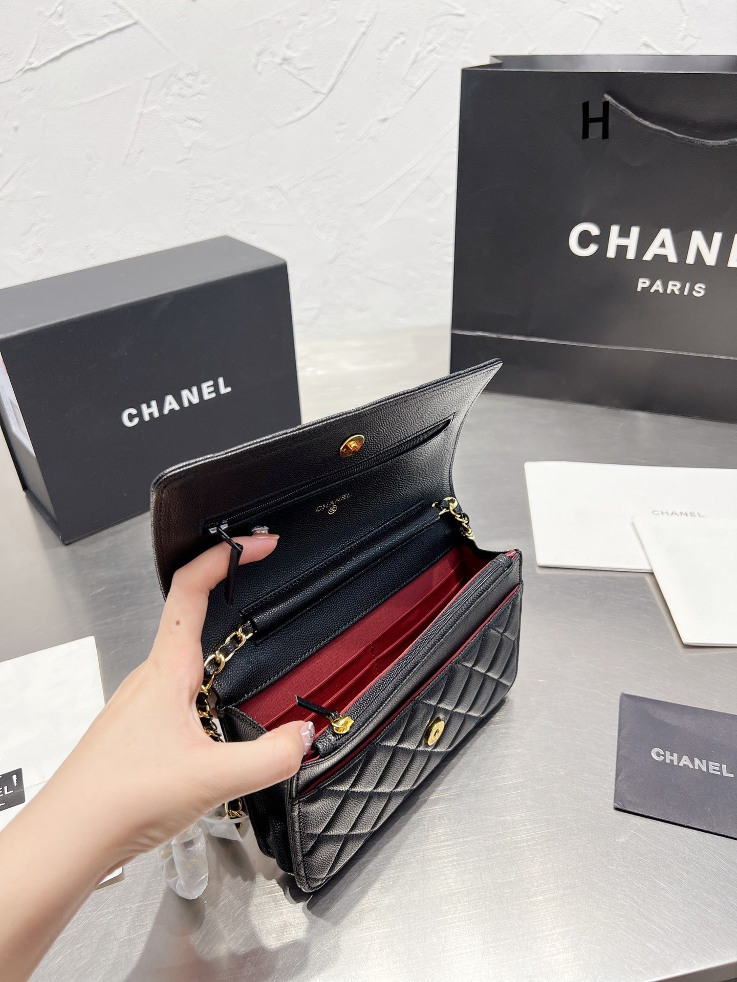 CN - New Collection Bags CHL 373