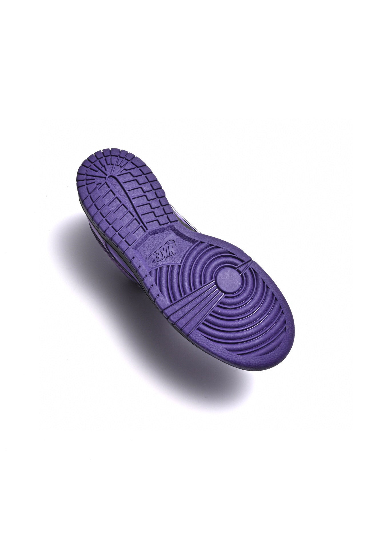 CN - Concepts Purple Lobster