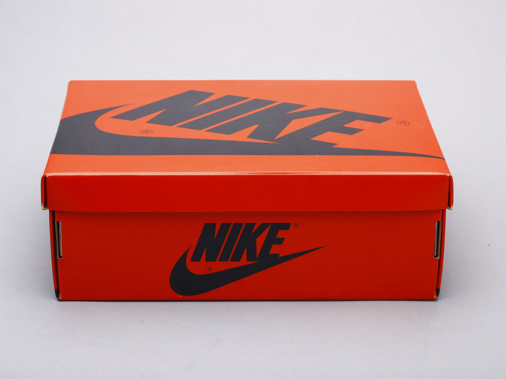 CN - AJ1 Fearless Chameleon