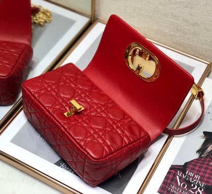DI Small Caro Bag Red For Women, Women’s Handbags, Shoulder Bags, Crossbody Bags 20cm/8in CD